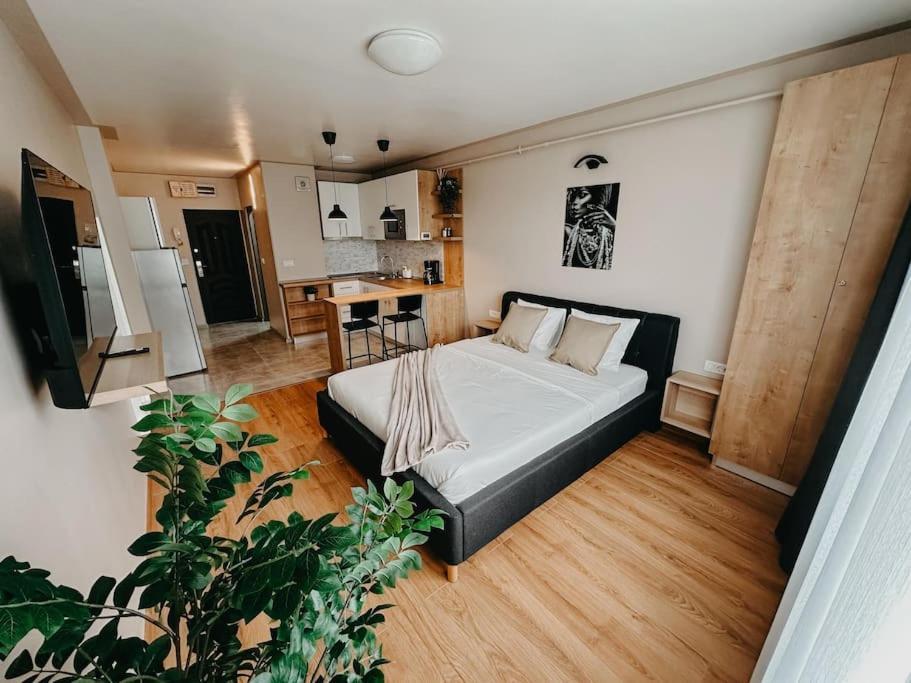 Agoll Victoria - Self Checkin Apartment Решица Екстериор снимка