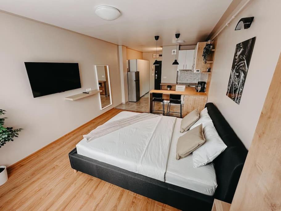 Agoll Victoria - Self Checkin Apartment Решица Екстериор снимка